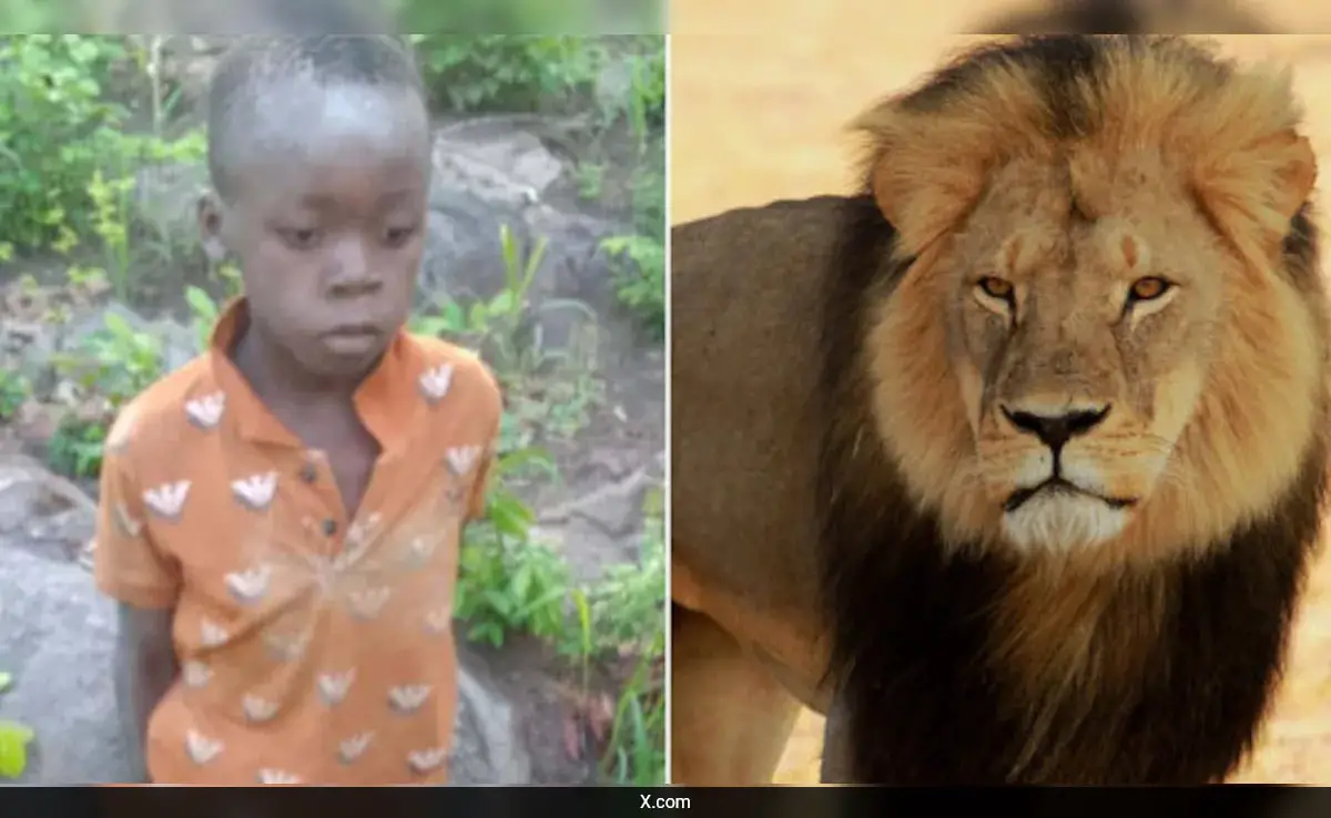 How An 8-Year-Old Boy Survived For 5 Days In Zimbabwe's Dangerous Lion-Filled Reserve